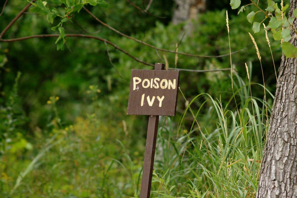 Poison Ivy Sign