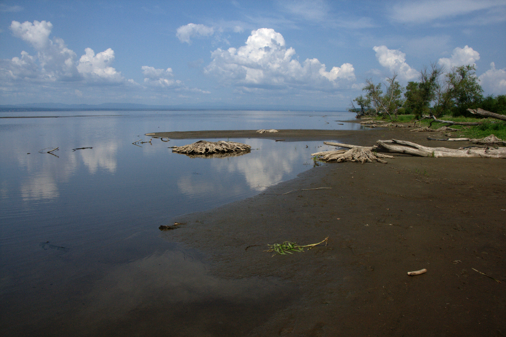 Delta Park Shoreline