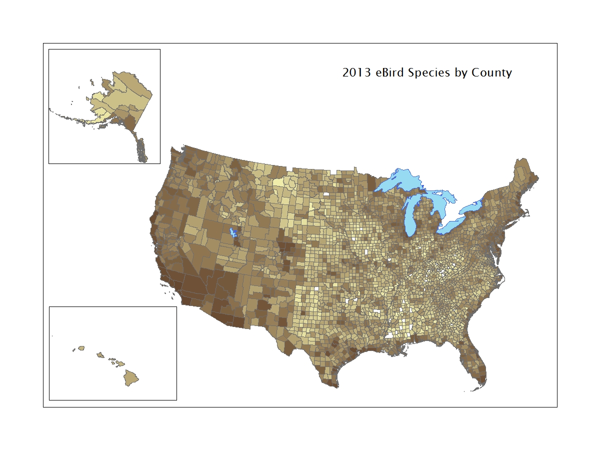 2013 eBird Species by County